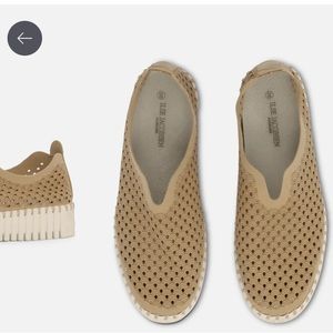 Ilse Jacobsen Tulip Flats